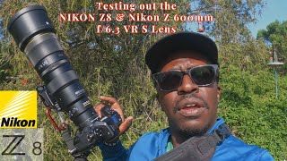 Putting The Nikon Z8 & Nikkor 600mm 6.3 S-line Lens To The Test #nikonz8 #nikkorz