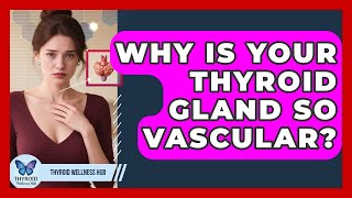 Why Is Your Thyroid Gland So Vascular? - Thyroid Wellness Hub