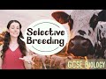 The Science Behind Selective Breeding and Its Impacts