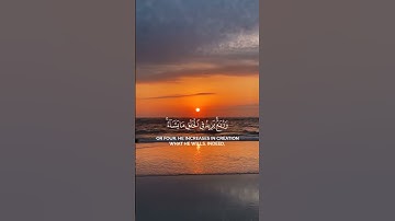 #قرآن كريم_سورة فاطر_ياسر الدوسري