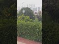 اللهم صيبا نافعا