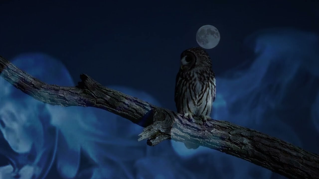 The Witching Hour Presents: Soulless X2 – Golden State Killer | Music 2 Murder 2 | Dark Ambient