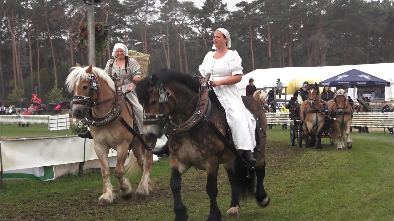 Titanen der Rennbahn Einmarsch Brück 23.6.2018