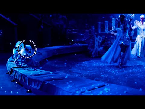 Легенды цирка с Эдгардом Запашным. Дрессировщики Исаевы