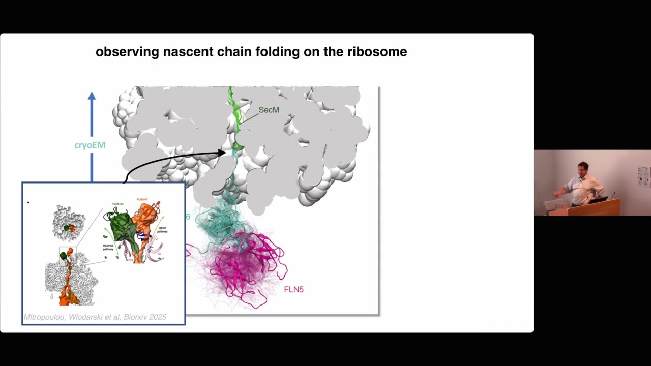 [TALK 4] NGBS2025: Protein folding on the ribosome - John Christodolou