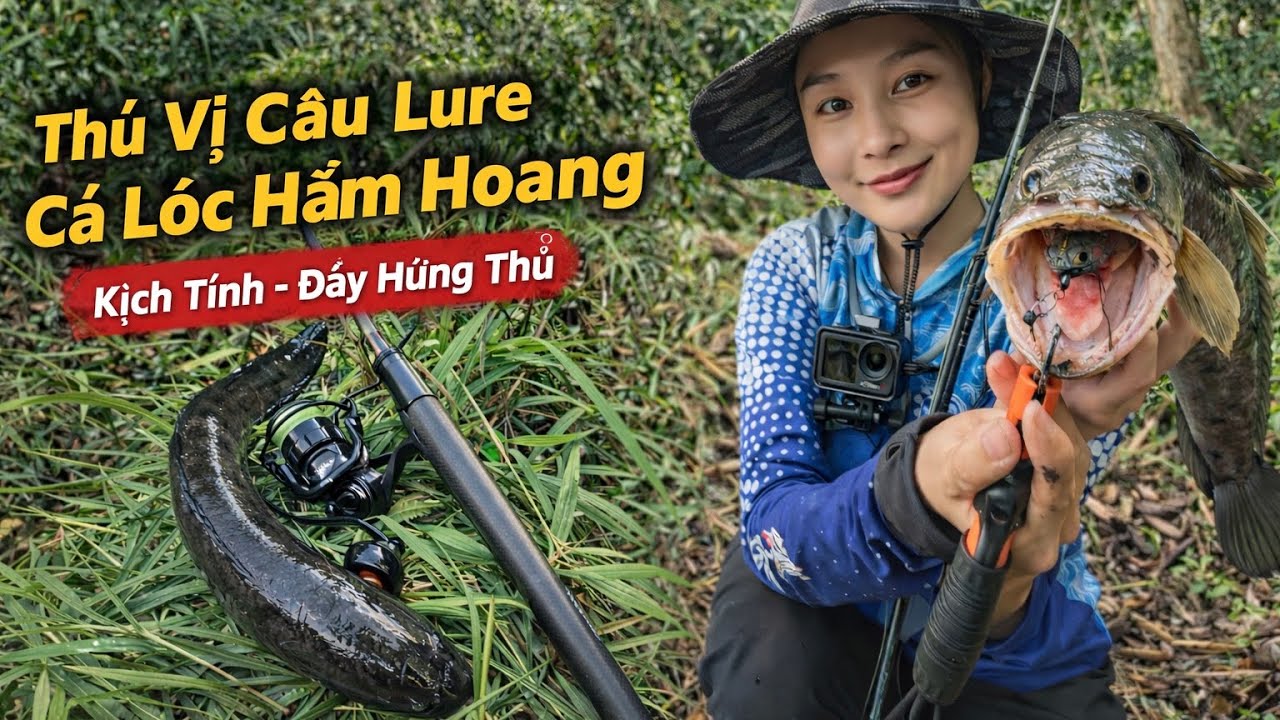 MỘT BUỔI ĐI DẠO TÌM ĐIỂM CÂU LURE CÁ LÓC VÀ CÁI KẾT |KÌ KÌ CÂU CÁ