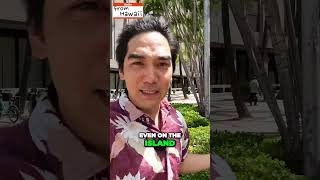 Do You Need an "808" Number in Hawaii?  #hellofromhawaii