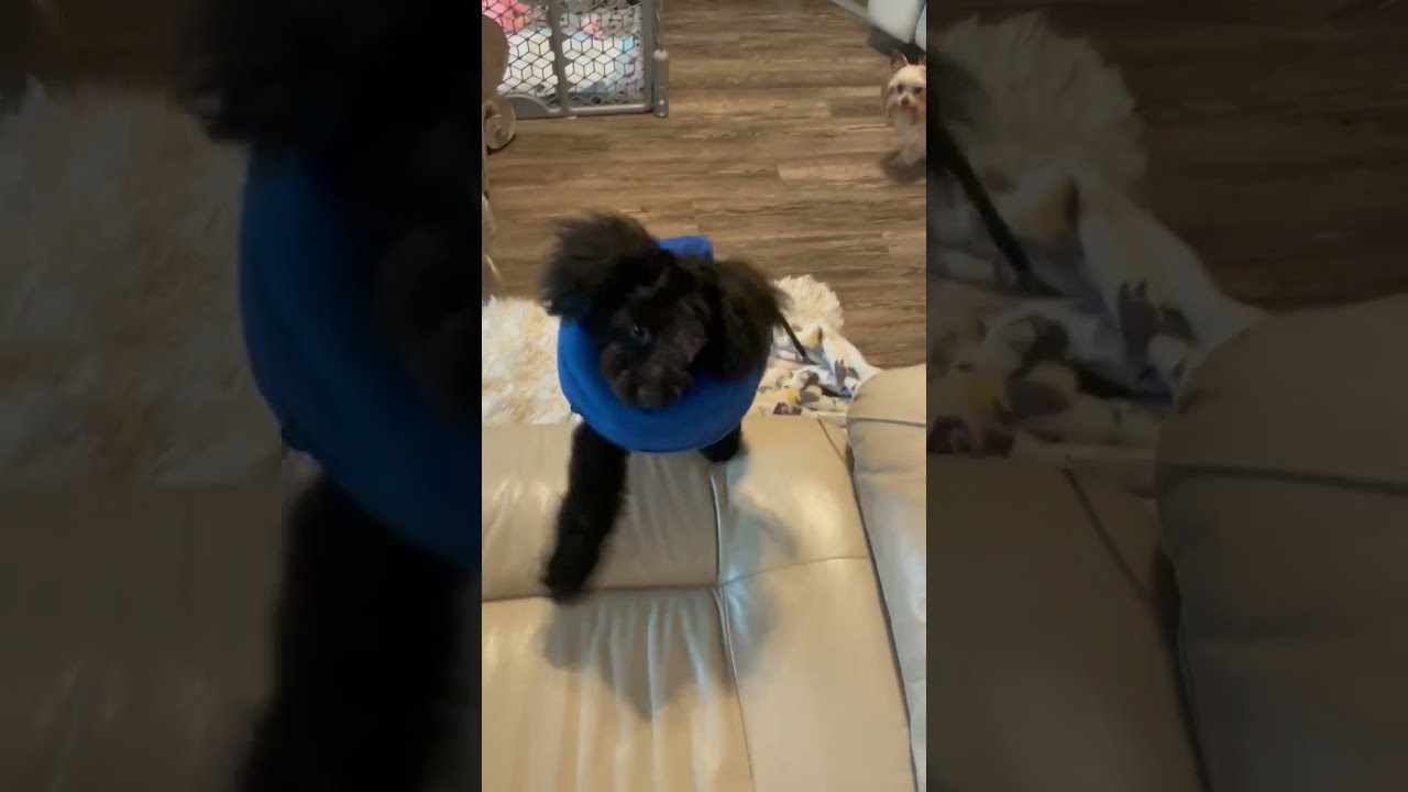 Tiny 4.5 Pound Girl's Eye Mysteriously Gouged Out