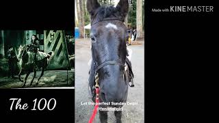 Marie Avgeropoulos & Henry Cavill Riding Horses |Instagram Stories|