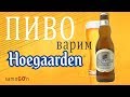 Варим пиво HOEGAARDEN | Пшеничное пиво | Рецепт | iBrew