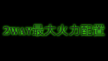 パズドラ 2色陣 最大火力配置