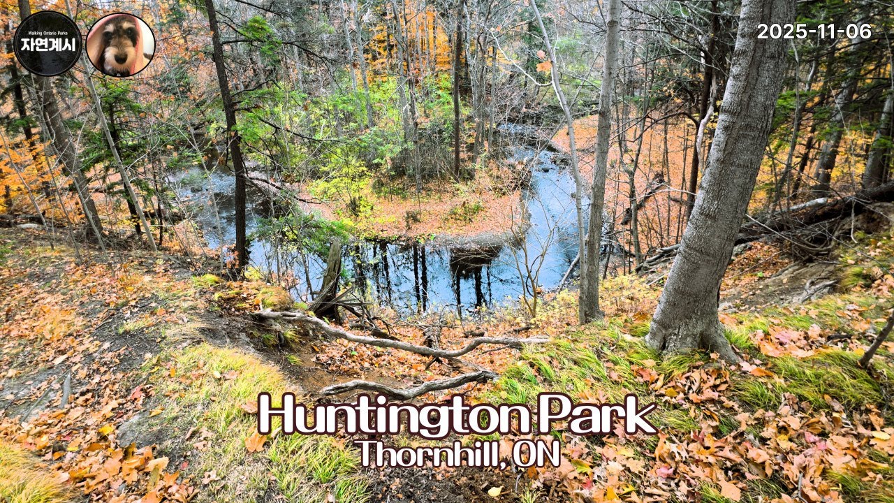 Huntington Park Off-Leash Dog Park [2025.11.06] ‪