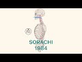 クラフトビールの味わいを聴くNo.15｜伝説のホップSORACHI1984 / サッポロ