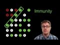 Vaccines and Herd Immunity