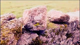 Castanheira (em vinte e quatro segundos) .