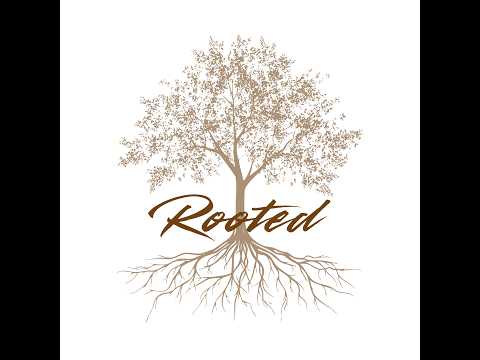 Studio RC - Rooted #3 (Germination) - Max Ingram