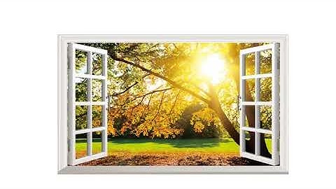 Chapter 7 from the window ncert text book class 4 evs- Kavits evs video