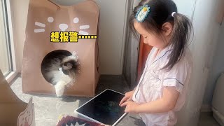 7th yr: cat helps w/ baby  free cat nanny = priceless. by 猪娣儿是一只猫 649 views 1 month ago 5 minutes, 28 seconds