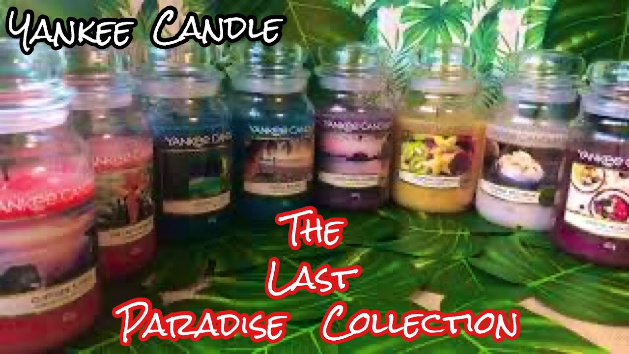 The Last Paradise - Yankee Candle Bougie Parfumées