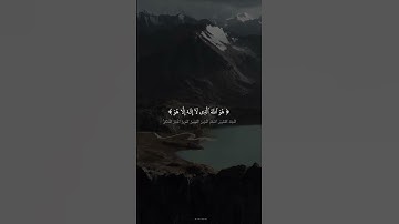 سوره الحشر   #القران الكريم #المنشاوي