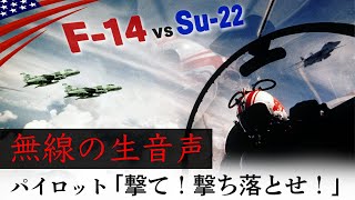 伝説のドッグファイト【無線音声記録 ”F-14トムキャット対Su-22”】シドラ湾事件(1981年)米軍