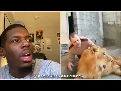 Lion almost chewed this manâs face off like a piece of 5 gum.. 