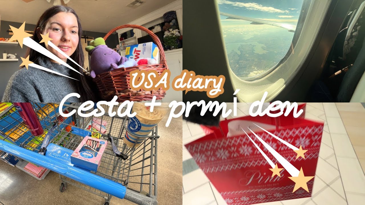 USA DENÍK #1 | CESTA | PRVNÍ DEN | HAUL |