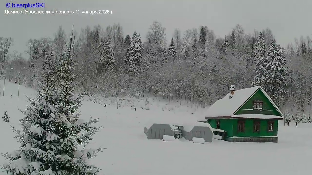 Осваиваем "Выключатель". Дёмино-2026