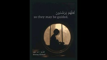 "وَإِذَا سَأَلَكَ عِبَادِي عَنِّي فَإِنِّي قَرِيبٌ" تلاوة هادئه حالات واتس قراءن كريم..♥️