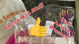 Temu Haul | Cheap Nail Products &amp; Other Stuff | (With Ants! LOL)