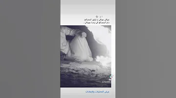 عوافي حالات واتس اشتياق حزن شيلات قصايد ذوق الشاعر عبدالله العمور 