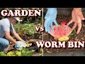 Which Makes Quicker Compost...The Garden Or A Worm Bin? | Vermicompost Worm Farm