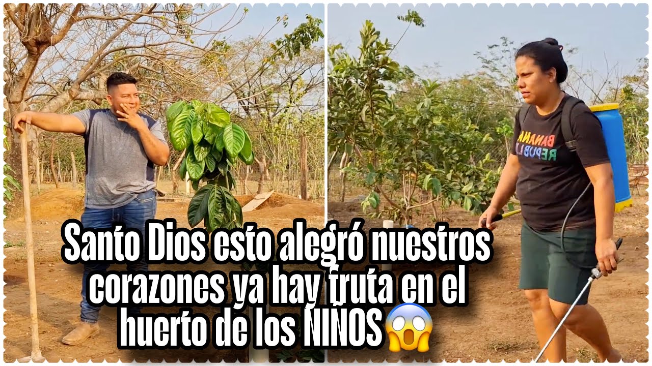 Lo que no sabias de nosotros trabajamos por tardes para tener fruta suficiente 