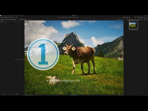 Beginner Tutorial | Capture One Pro 11 - Basic Workflow - YouTube