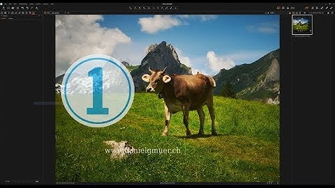 Beginner Tutorial | Capture One Pro 11 - Basic Workflow