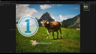 Beginner Tutorial | Capture One Pro 11 - Basic Workflow
