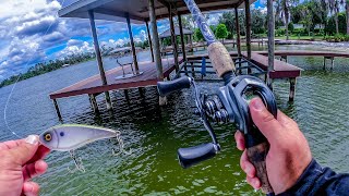 Fishing Strange Abandoned Docks for Aggressive Fish + HUGE ANNOUNCEMENT