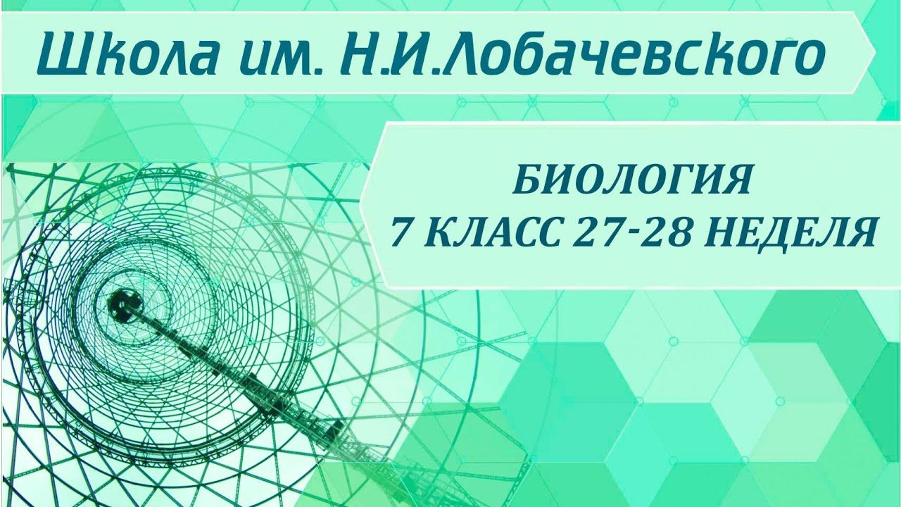 ⁣Биология 7 класс 27-28 неделя Кольчатые черви