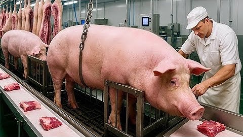 Inside the Pork Processing Factory: From Farm to Sausages & Ham (Full Process)