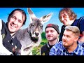 The boys in australia vlog 2