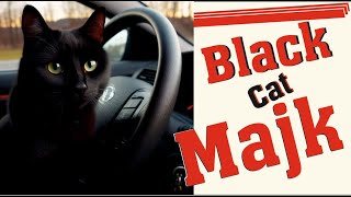 У Кота Урок Вождения🤗#blackcatmajk #cat #viral #funny #catlover #kitten