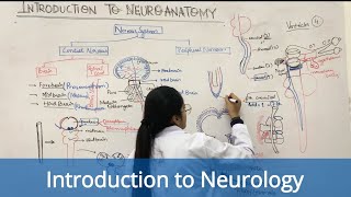 Introduction of NEUROLOGY || Basics of neurology|| screenshot 1