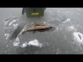 Зимняя рыбалка трейлер 2