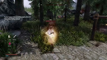 Skyrim 1000+ Mods - 2 Bear fight