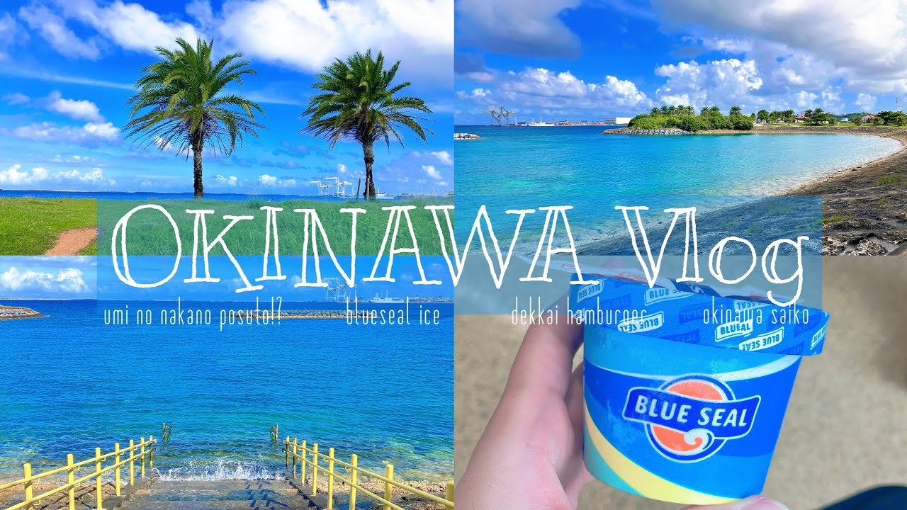 【Vlog】海中ポストって何？