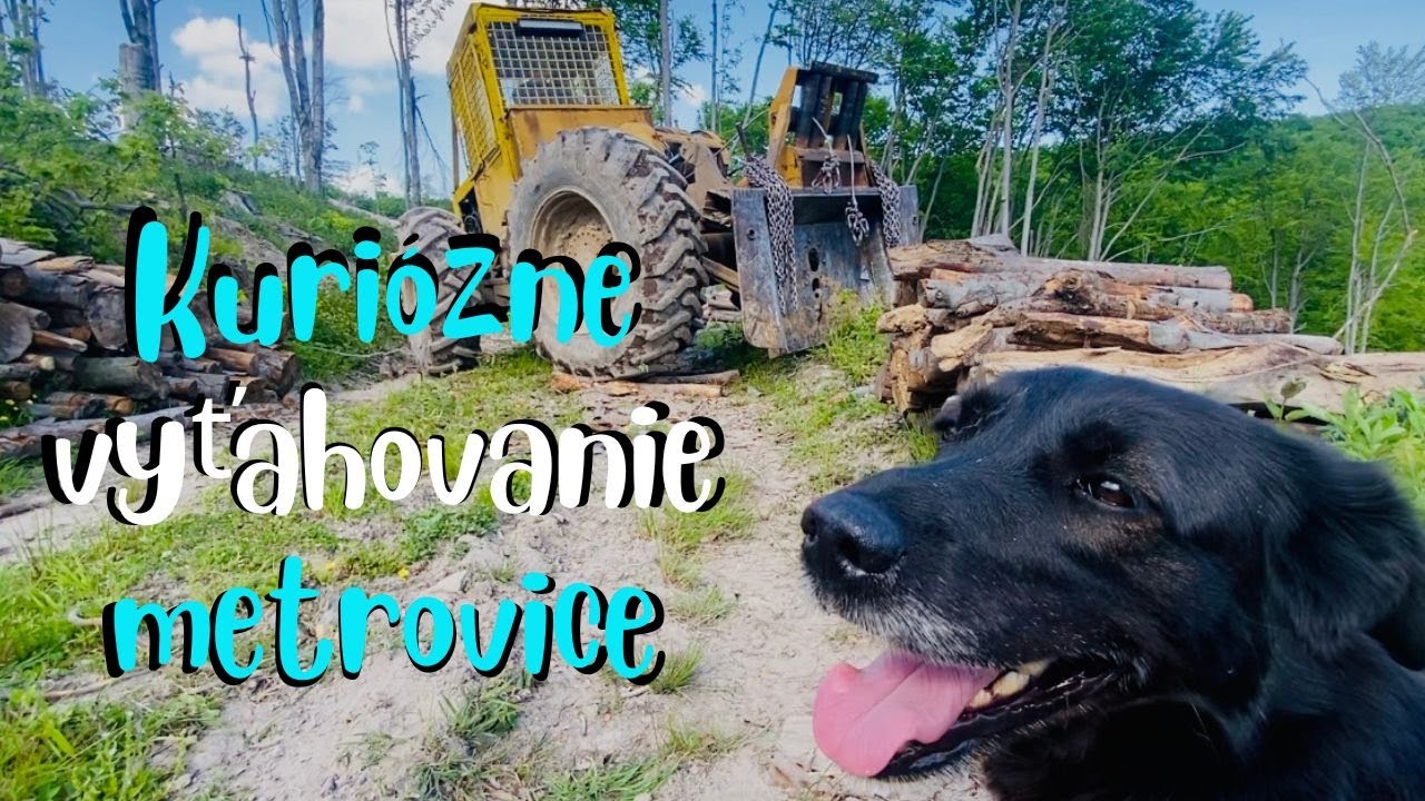 LKT | Kuriózne vyťahovanie metrovice