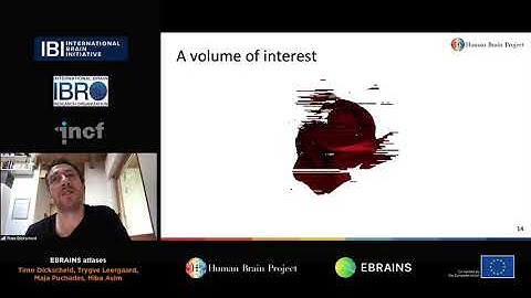 Dickscheid Timo, Asim Hiba, Leergaard Trygve, Puchades Maja - EBRAINS atlases