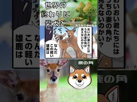 #shorts #short #shortvideo #世界の終わりに柴犬と #柴犬 #豆しば #ショート #犬のいる暮らし #おすすめ動画 #鹿の角 #異世界漫画