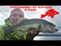 Topwaterangeln auf Blackbass in Italien