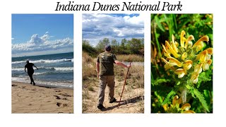 INDIANA DUNES NATIONAL PARK| Paul H. Douglas trail by The Treasure Cave 91 views 4 years ago 11 minutes, 3 seconds